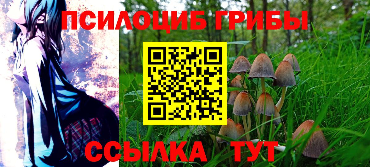 Галлюциногенные грибы прущие грибы  Галлюциногенные грибы Magic Shrooms  Когалым  Вход с VPN 
